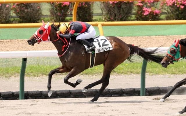 【函館2R】良血プルーヴンウィナーが初勝利…3連単は257万円超えの波乱