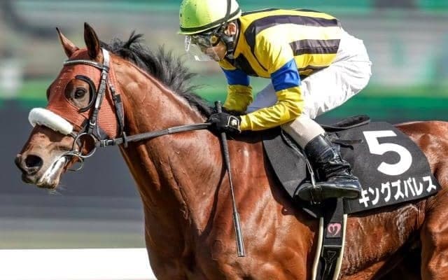 【七夕賞予想オッズ】キングズパレスが予想1番人気