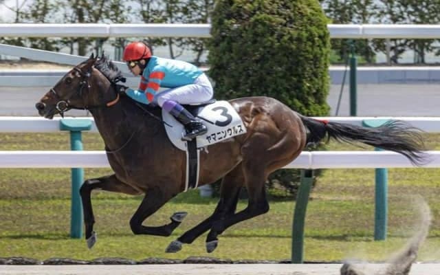 【プロキオンS予想オッズ】ヤマニンウルスが予想1番人気