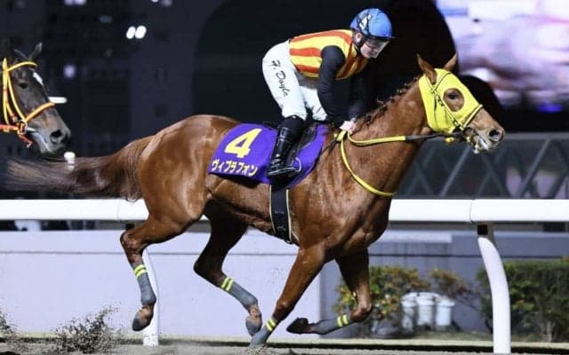 【スパーキングレディーカップ】菅原明ヴィブラフォンは8枠12番