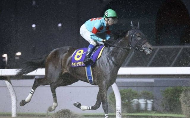 【スパーキングレディーカップ】赤岡「夢を見ましたね」キャリックアリードは惜しい2着