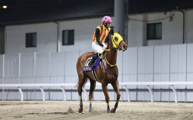 【スパーキングレディーカップ】菅原明「厳しい競馬になりました」ヴィブラフォンは3着敗退