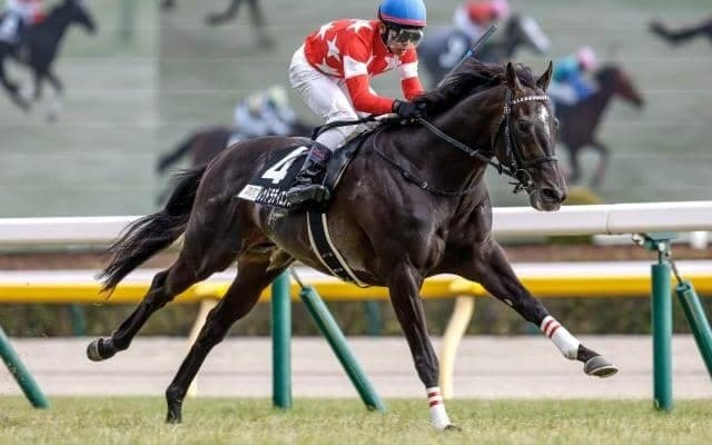【七夕賞出走馬・騎手確定】レッドラディエンス＆戸崎圭太騎手、キングズパレス＆松岡正海騎手など15頭