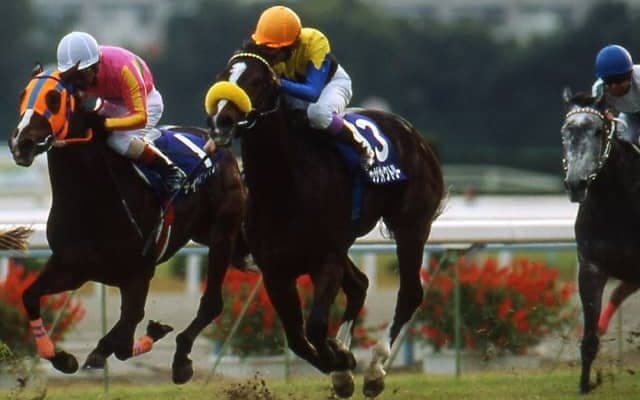 歴代1位はトゥザヴィクトリーの仔で6億円 セレクトセール高額取引馬ランキング