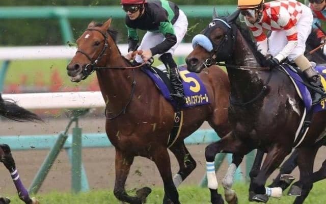 初年度産駒は2頭のみ！ キタノコマンドール産駒が今週末JRA初出走