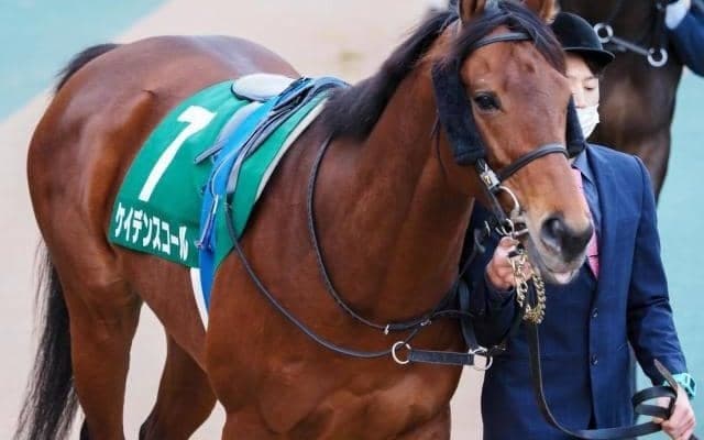 兄に重賞馬2頭を持つ期待馬 川田将雅騎手とのコンビでデビューV狙う