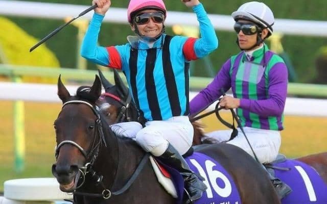 18年JBCレディスクラシックなど重賞4勝馬を母に持つ素質馬 初戦から期待十分