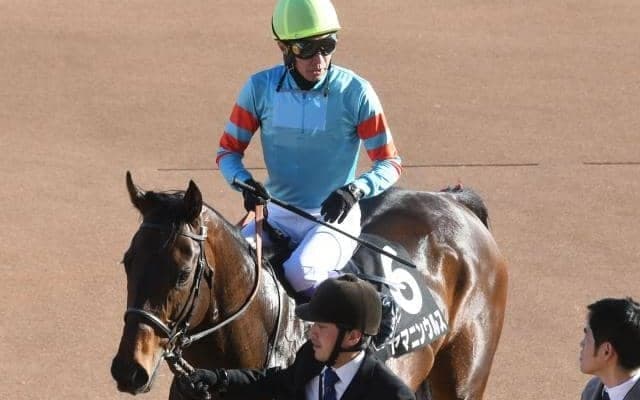 【プロキオンS枠順確定】ヤマニンウルスは6枠11番、スレイマンは3枠5番