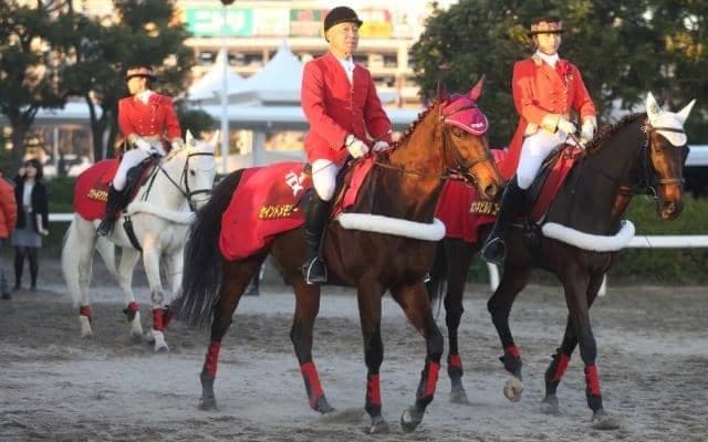 大井の誘導馬セイントメモリーが17歳で死す 現役時代は重賞6勝の活躍