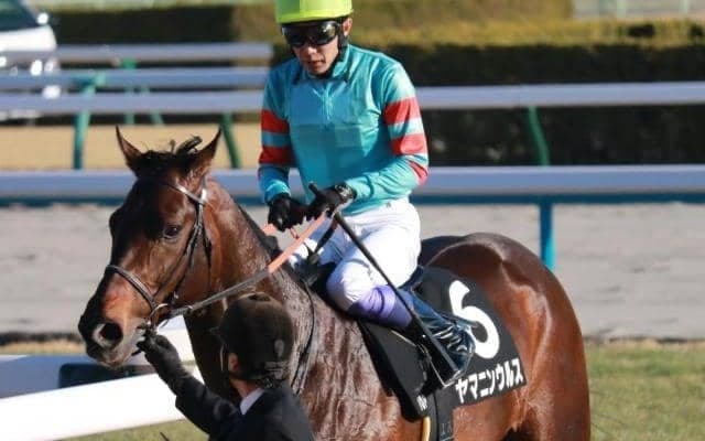 今週の武豊騎手は12鞍 4戦4勝の大器でプロキオンS参戦へ