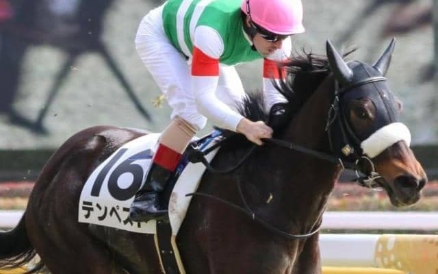 母＆兄3頭がGI馬の超良血馬 待望の2勝目へ