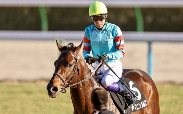 【武豊日記】ワクワクしかありません