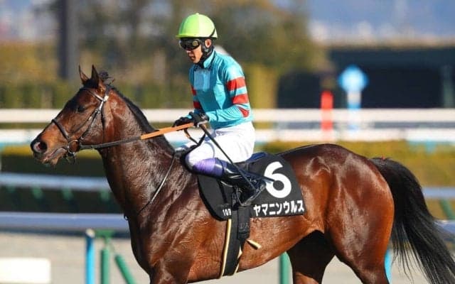 武豊騎手 今週の騎乗馬…無敗馬ヤマニンウルスが出走