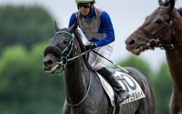 【今日の注目ポイント】マリーンSでナチュラルハイがオープン初勝利を狙う