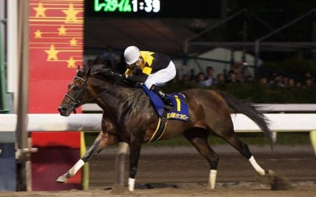 【TCK】セイントメモリーが17歳で死す…大井の誘導馬として活躍