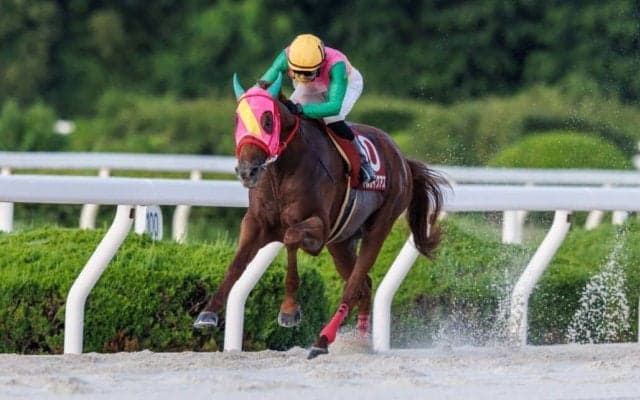 【兵庫優駿】マルカイグアスが8馬身差圧勝…鴨宮「強気に行った」