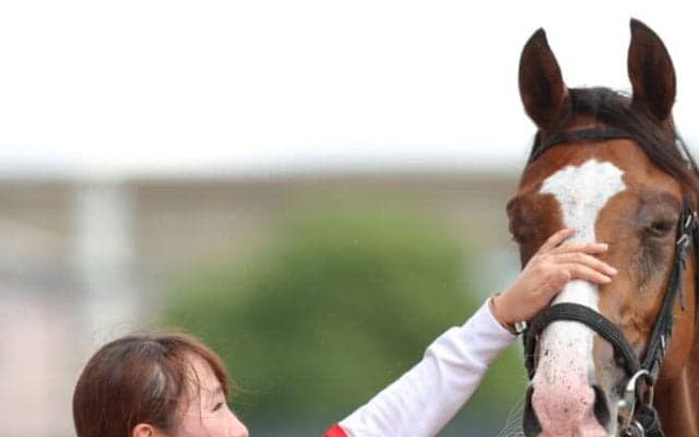 永島まなみはJRA通算100勝にリーチ…女性ジョッキー騎乗馬