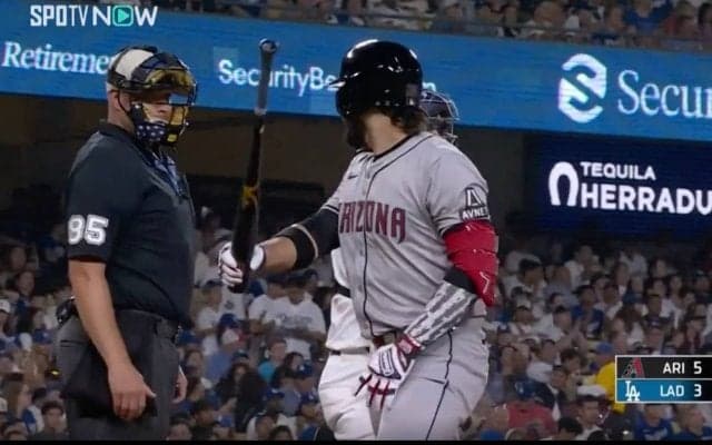 ふざけんじゃねえ！ “退場男”が審判の判定にブチギレて大暴れ！ 怒り爆発… バットを振り回しながら暴言を吐きまくる