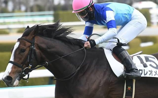 22年AJCC覇者アリストテレスの半弟が1年4カ月ぶり復帰戦 先月引退の兄に吉報を届けられるか