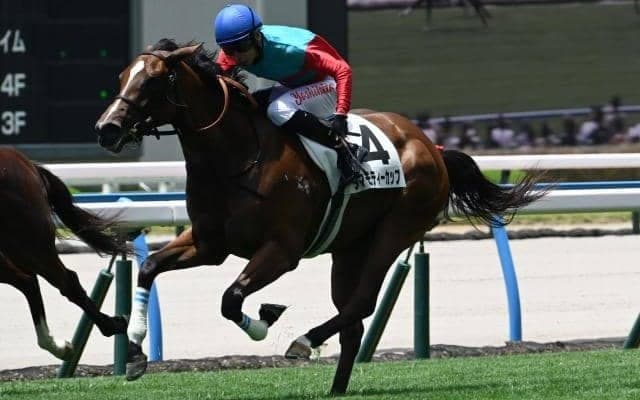 【小倉5R新馬戦結果】デクラレーションオブウォー産駒タマモティーカップが初陣飾る