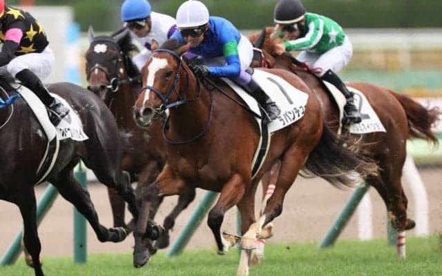 【函館1R】武豊ラパンチュールが人気に応える…出遅れも関係なし