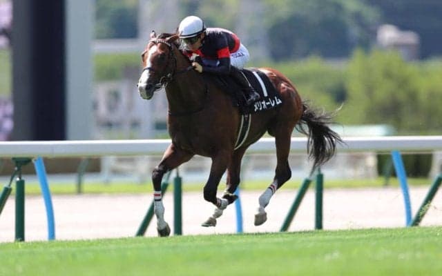 【西部スポニチ賞】単勝1.5倍メリオーレムが断然の支持に応える