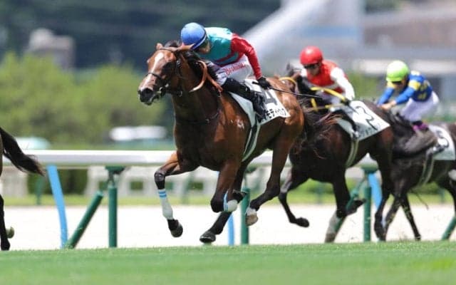 【新馬/小倉5R】タマモティーカップが差し切る