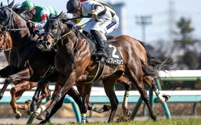 【七夕賞予想】小回りの福島らしい傾向あり！ 前走の経験が仇になりそうな人気馬とは