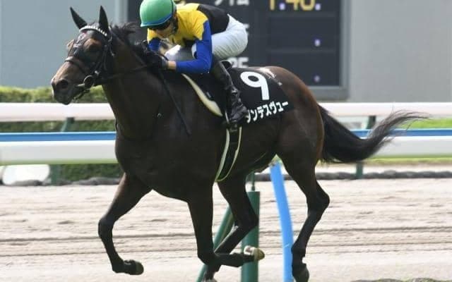 【七夕賞前日オッズ】枠連7-7は24.1倍、同じ組み合わせの馬連12-13は255.6倍