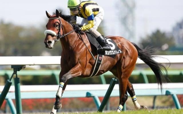 【今日の注目ポイント】福島で七夕賞と小倉でプロキオンS