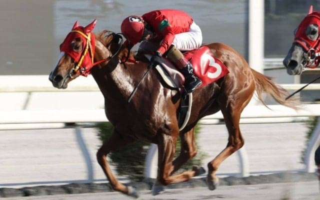 【高知・ヴェガ特別】グレートヒエンが接戦を制する…永森「地力が違った」