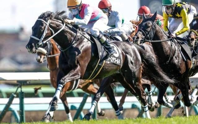 【七夕賞予想】人気薄で好走する馬には共通点がある!? 過去データから探るGIII七夕賞