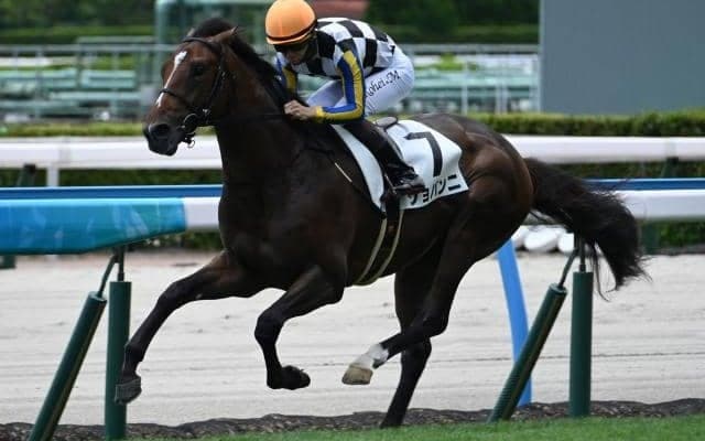【小倉5R新馬戦結果】エピファネイア産駒ジョバンニが押し切りV
