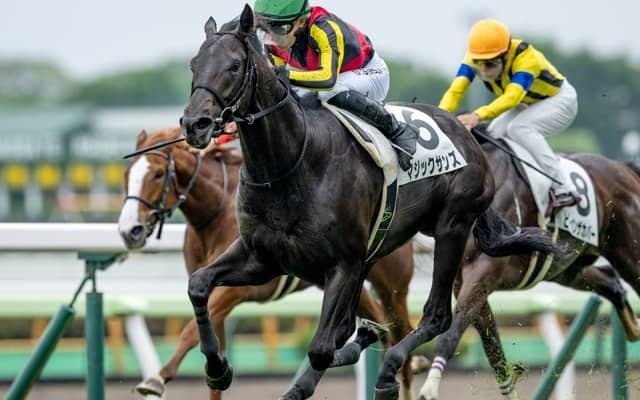 【函館5R新馬戦結果】キズナ産駒マジックサンズが人気に応えて快勝