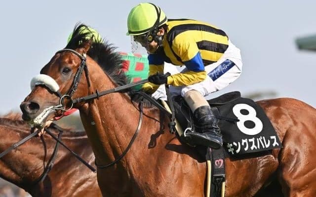 【七夕賞・馬体重】キングズパレスは496kg(-2)、レッドラディエンスは488kg(-8)