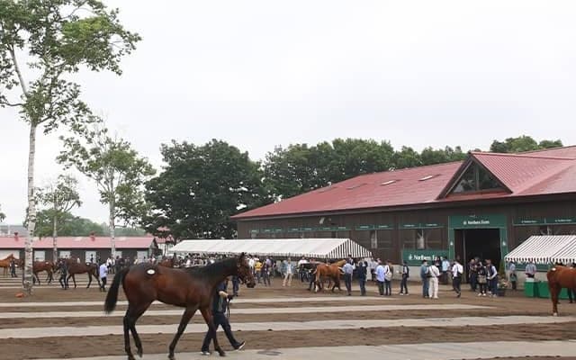 日本最大級のサラブレッドセリ市 四半世紀の歴史持つ「セレクトセール」とは何？