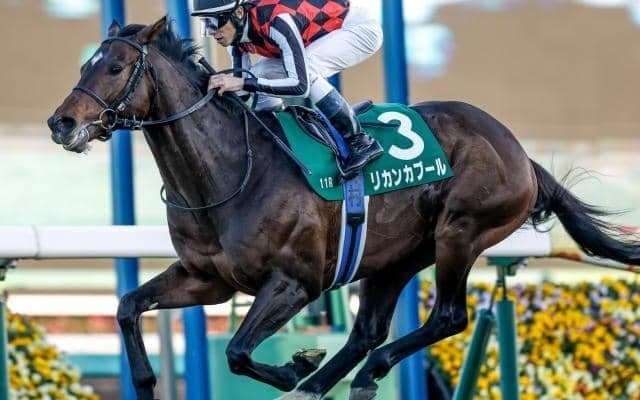 函館最終週に函館記念と函館2歳S 週初めにはセレクトセール/今週の競馬界の見どころ