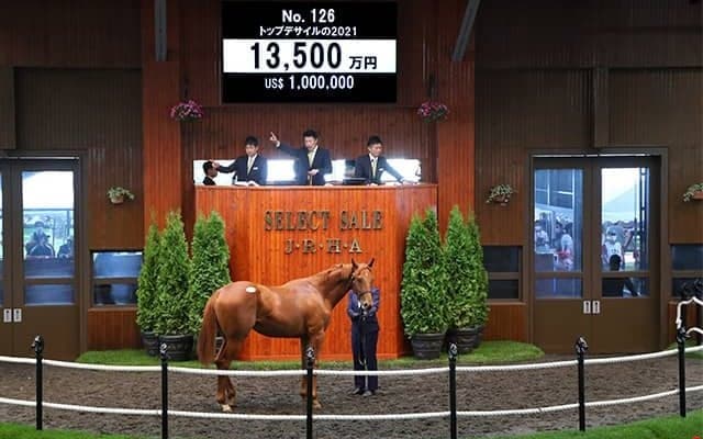 セレクトセールは上場番号126番に注目！ 3年連続でGI/JpnI馬誕生の超ラッキーナンバー