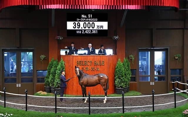 【セレクトセール2024】コーステッドの2023は3億9000万円 「ダノン」の冠名で知られるダノックスが落札