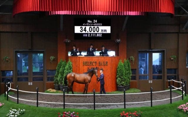 【セレクトセール2024】ウマ娘・藤田晋氏が3億超えでエピファネイア産駒を落札