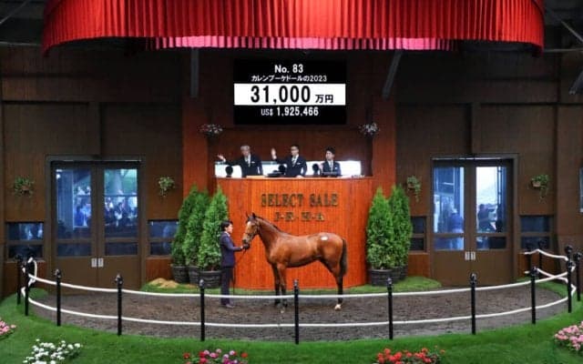 【セレクトセール2024】カレンブーケドールの2023が3億円超え