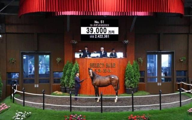 【セレクトセール2024】コーステッドの2023が3億円超え！…ダノックスが落札