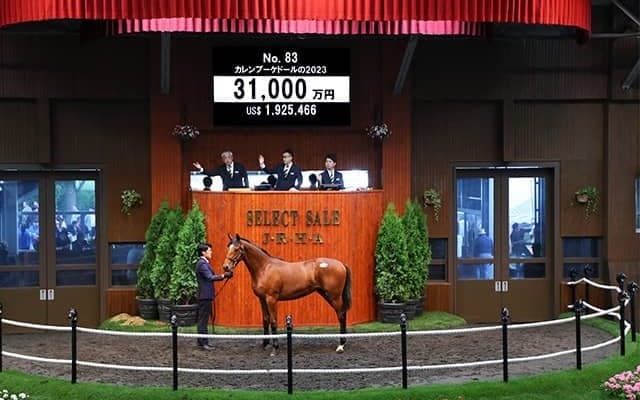 【セレクトセール2024】カレンブーケドールの2023は3億1000万円 TNレーシングが落札