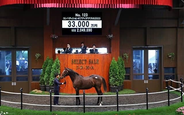 【セレクトセール2024】コンペティションオブアイデアズの2023は3億3000万円 「ダノン」の冠名で知られるダノックスが落札