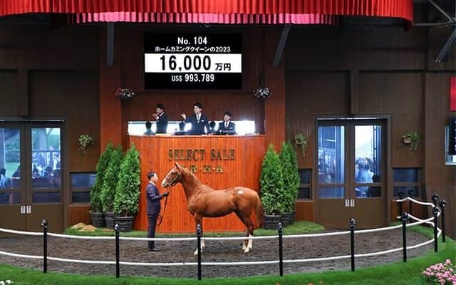 ウマ娘・藤田晋オーナーがホームカミングクイーンの2023を1億6000万円で落札