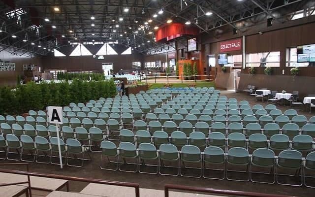 【セレクトセール2024】イルーシヴハピネスの2023は1億2000万円 「ジャスティン」の冠名で知られる三木正浩氏が落札