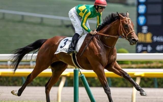 函館2歳S想定騎手19頭 サトノカルナバルは佐々木大輔騎手、エンドレスサマーは横山和生騎手