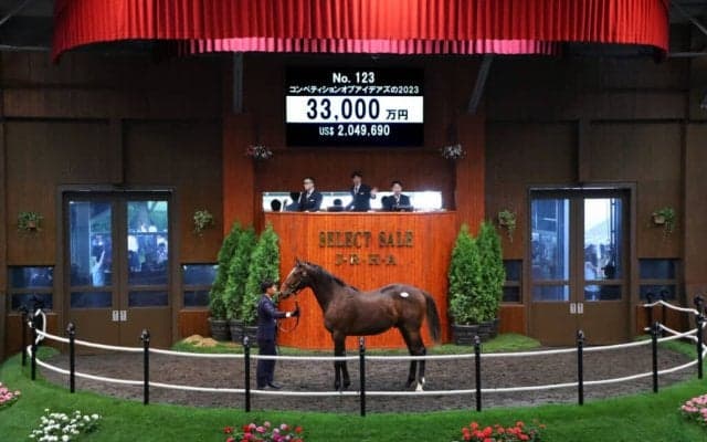 【セレクトセール2024】エピファネイア産駒が3億3000万円…ダノックスが落札