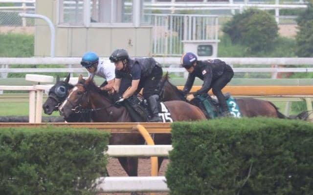 斉藤崇史厩舎にゆかりの血統 センツブラッドが小倉で初陣/関西馬メイクデビュー情報