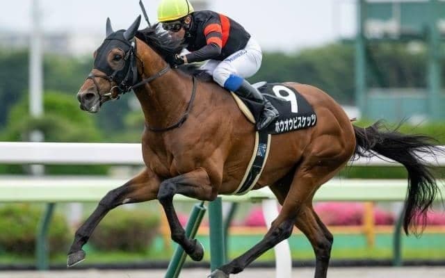 函館記念想定騎手20頭 ホウオウビスケッツは岩田康誠騎手、サヴォーナは池添謙一騎手